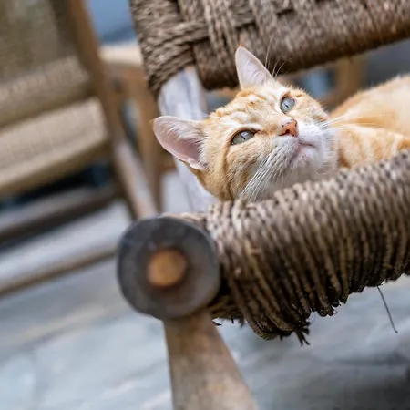 Escale Rochelaise, Avec Access Et Sauna 拉罗歇尔