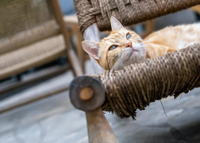 Escale Rochelaise, Avec Access Et Sauna La Rochelle (Charente-Maritime)