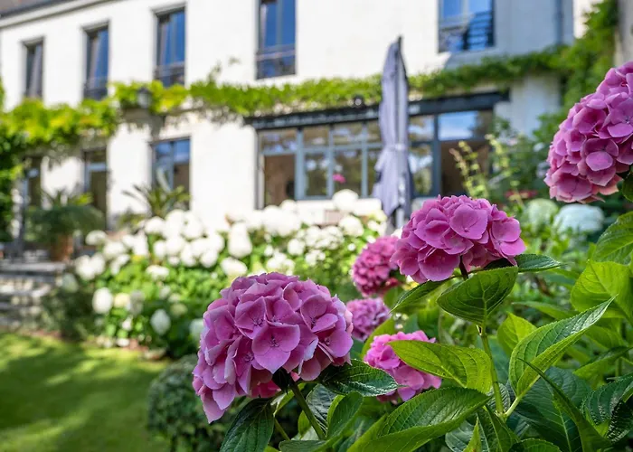 Escale Rochelaise, Avec Access Et Sauna * La Rochelle (Charente-Maritime)