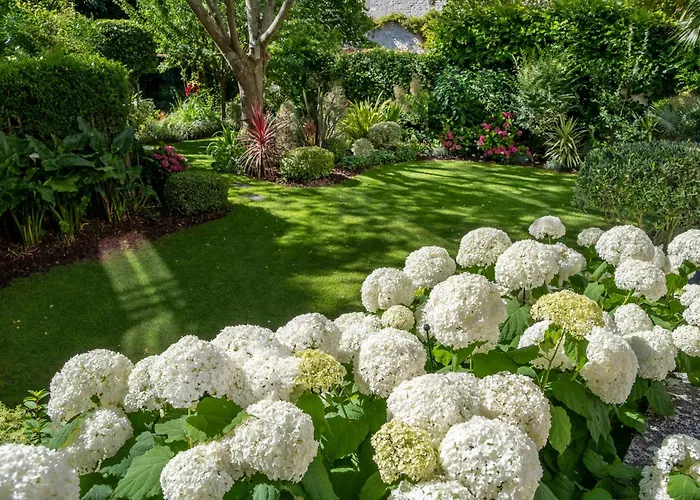 Escale Rochelaise, Avec Access Et Sauna